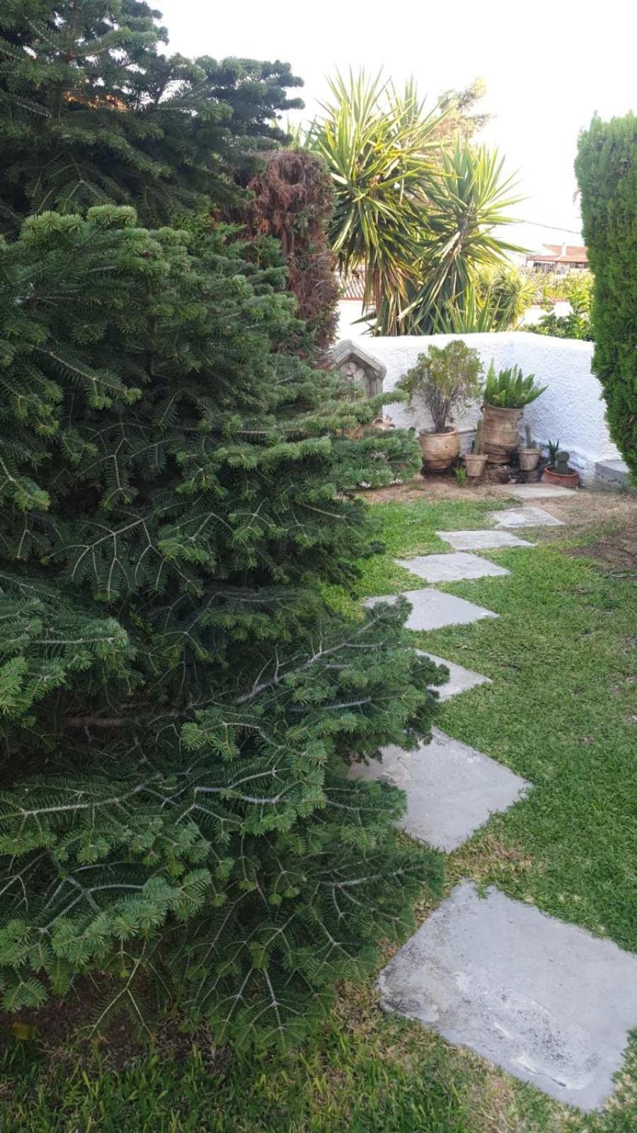 Garden House Βίλα Αμάρυνθος Εξωτερικό φωτογραφία